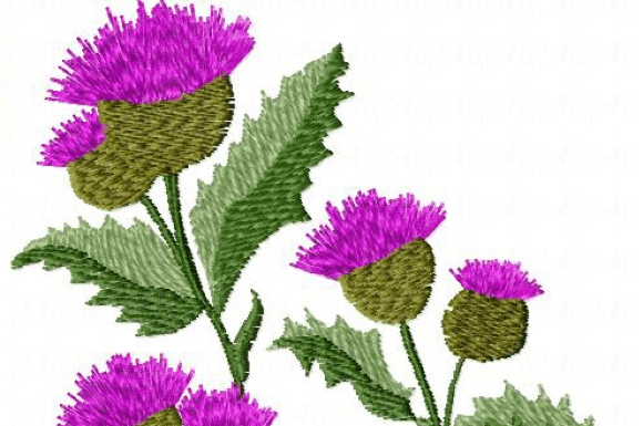 Wildflowers: An Embroidery Design for Etsy Sellers
